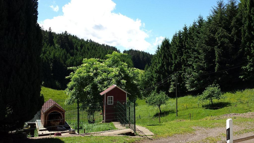 Ferienwohnung Ringwald Biederbach Baden-Württemberg Exteriör bild